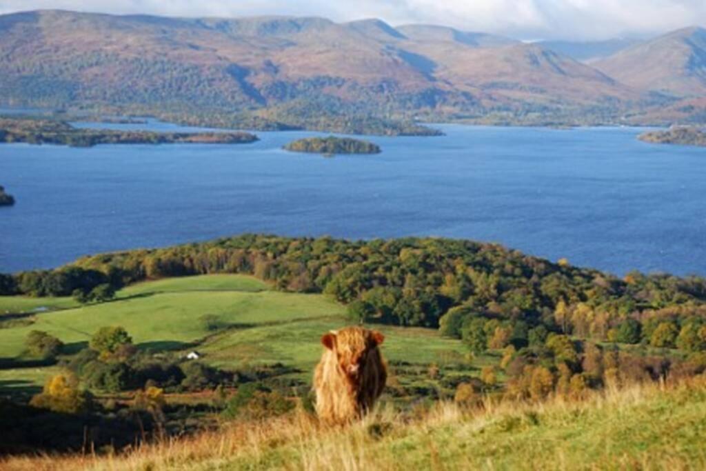 17 William Street Lägenhet Helensburgh Exteriör bild